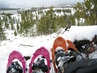 snowshoes in the Colorado mountains